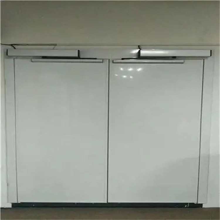 双开电动平开铅门 (2).jpg 双开电动平开铅门 (2).jpg